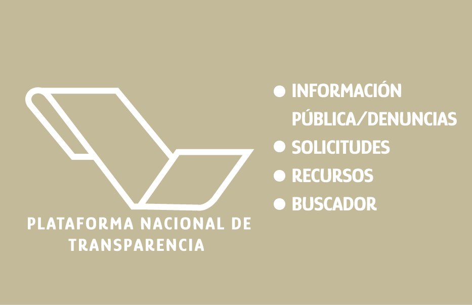 Transparencia